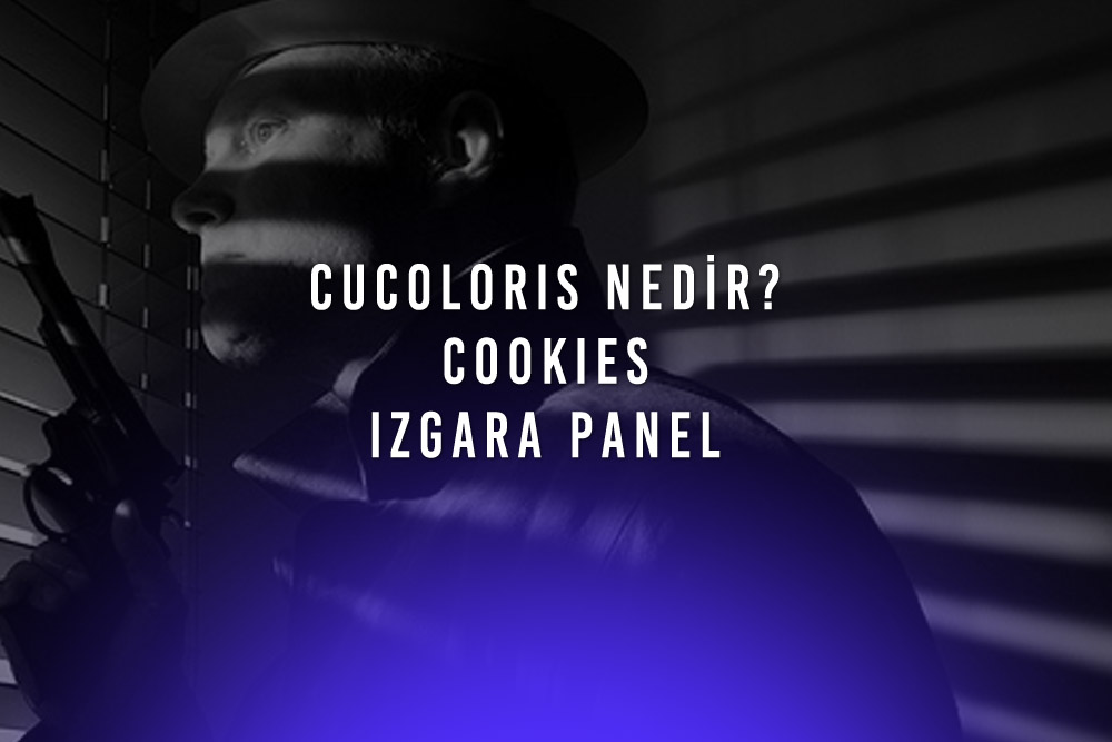 Cucoloris (Cookies) Nedir? Film Yapımında Nasıl Kullanılır?