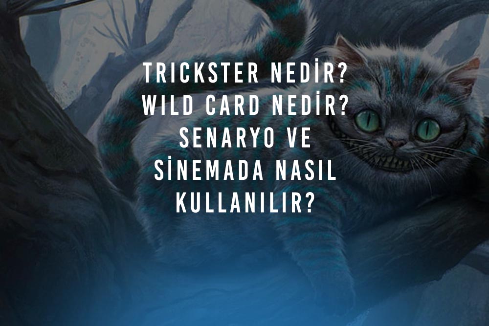 Trickster Nedir? Wild Card Nedir? Senaryo ve Sinemada Nasıl Kullanılır?